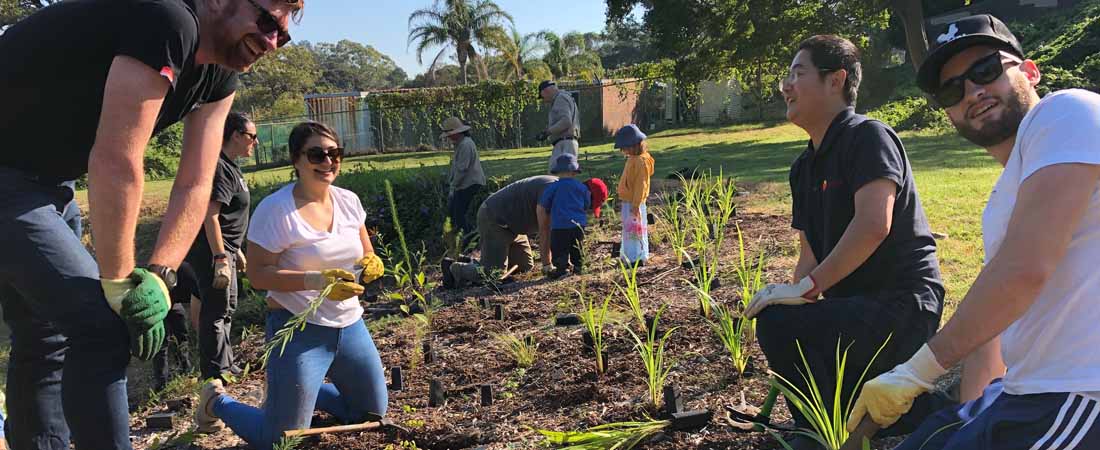 Sourced Group team planting trees